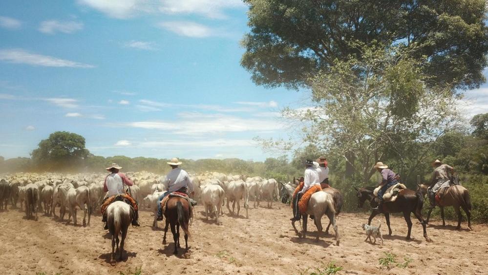 Pousada Xaraés Todos os Santos Esterno foto